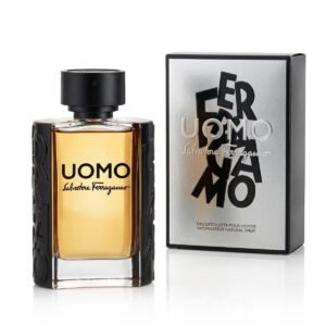 Ferragamo Uomo Eau De Toilette 100 ml (man)