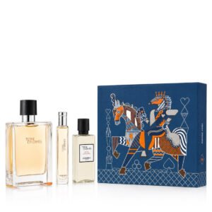 Hermès Terre D'Hermès EDT 100 ml + EDT 15 ml + AS 40 ml (man)