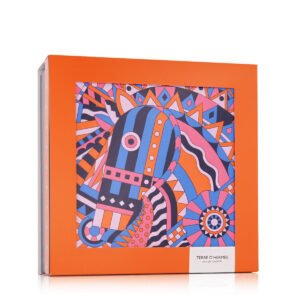 Hermès Terre D'Hermès EDT 100 ml + EDT 12,5 ml + AS 40 ml (man)