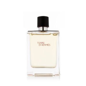 Hermès Terre D'Hermès Eau De Toilette 100 ml (man)